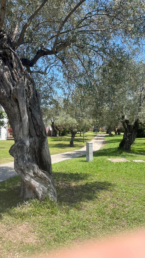 L'Isola Dei Vacanzieri Sant'Andrea Apostolo dello Ionio Zewnętrze zdjęcie